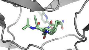 In silico Drug Design I- التصميم الدوائي المعلوماتي