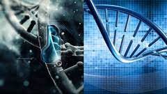 Cloning Dry Lab