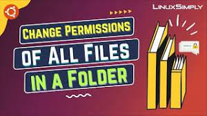 Change all Files or Folders Permissions