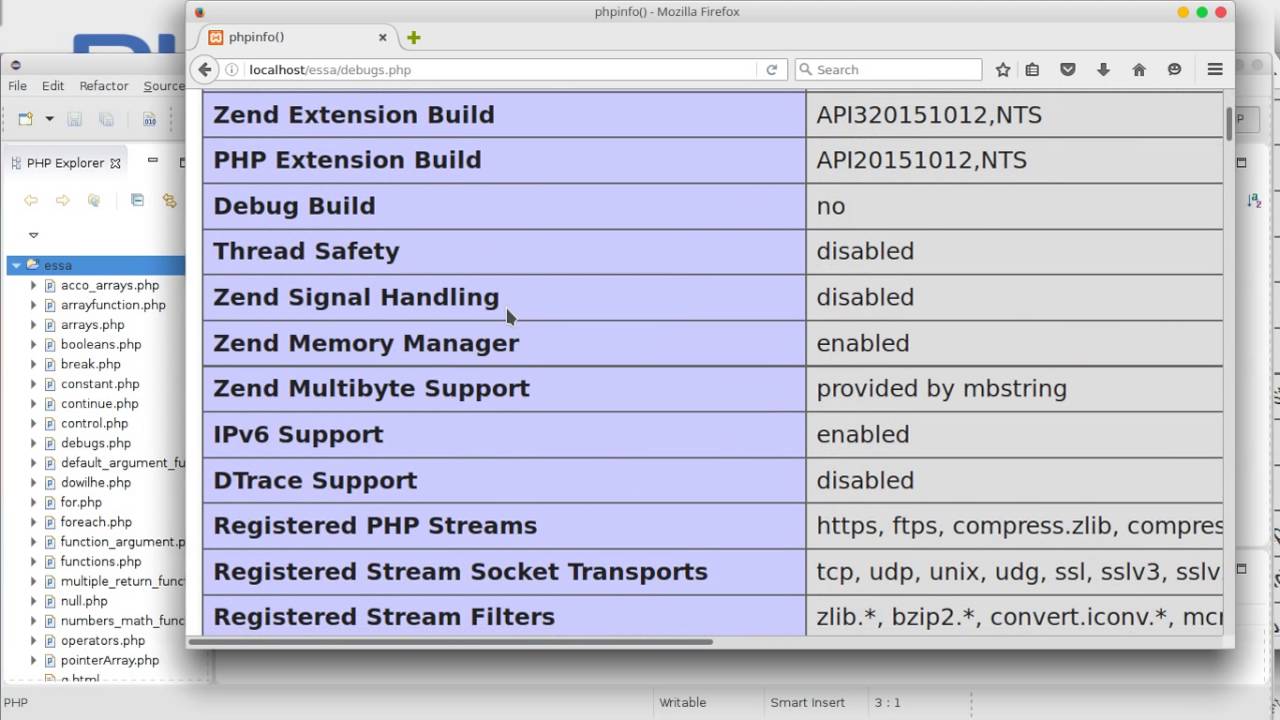 PHP debug environment